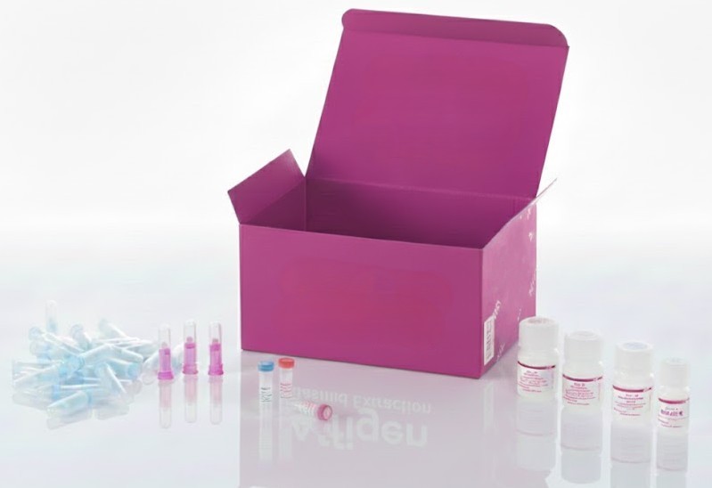 Cáncer múltiple de cuello uterino con matriz de tejido cervical, incluyendo grado patológico, TNM y estadios clínicos, 50 casos/100 núcleos